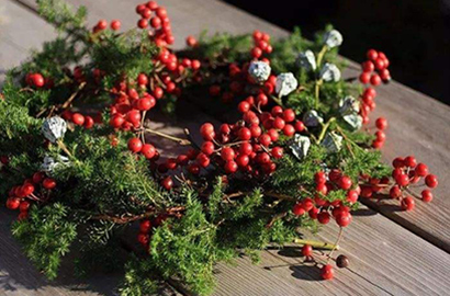 6種圣誕花環的制作形式